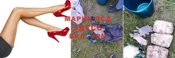прущие грибы Арсеньев