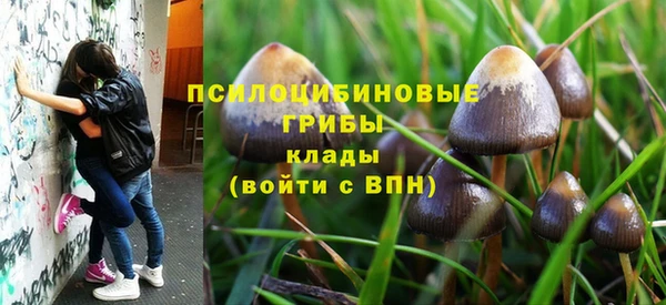 соль ск Аркадак