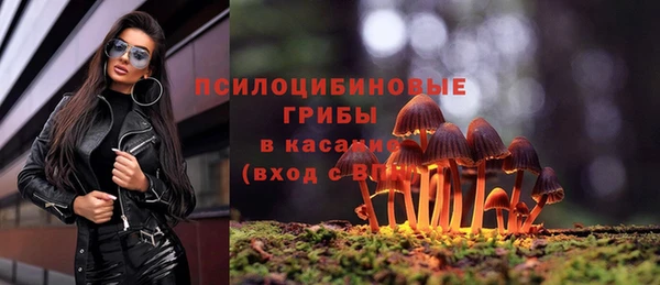 дживик Армянск